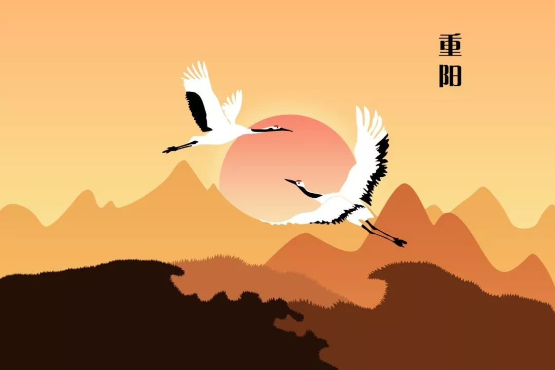 06图片1